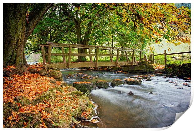 Autumn In Beresford Dale Print by Steve Wilcox