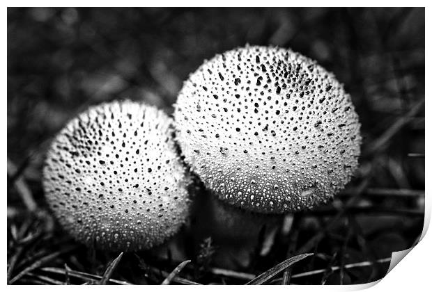 dotted mushrooms Print by Jo Beerens