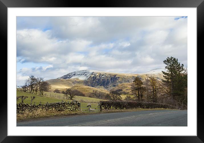 Driving view Framed Mounted Print by Gary Finnigan