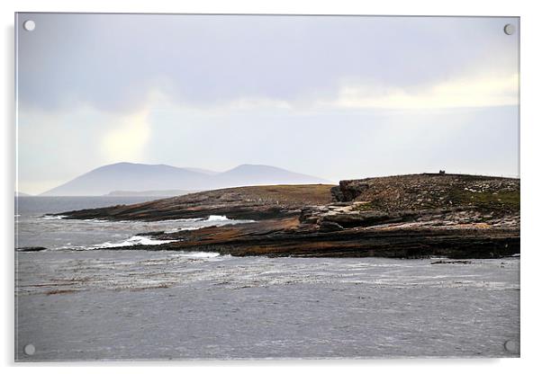 Approaching Carcass Island in The Falklands Acrylic by Carole-Anne Fooks