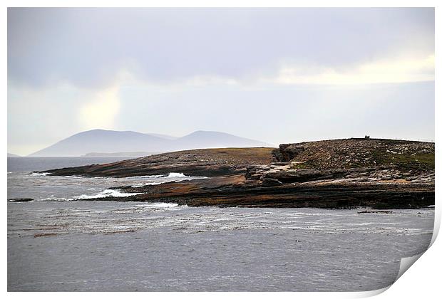Approaching Carcass Island in The Falklands Print by Carole-Anne Fooks