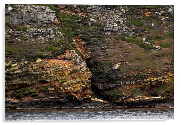 Carcass Island Coastal Formations Acrylic by Carole-Anne Fooks