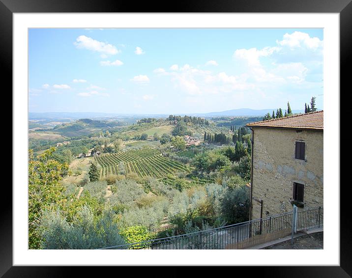 Tuscan Hills  - San Gimignano Framed Mounted Print by David Jackson