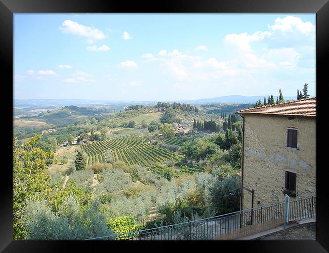 Tuscan Hills  - San Gimignano Framed Print by David Jackson