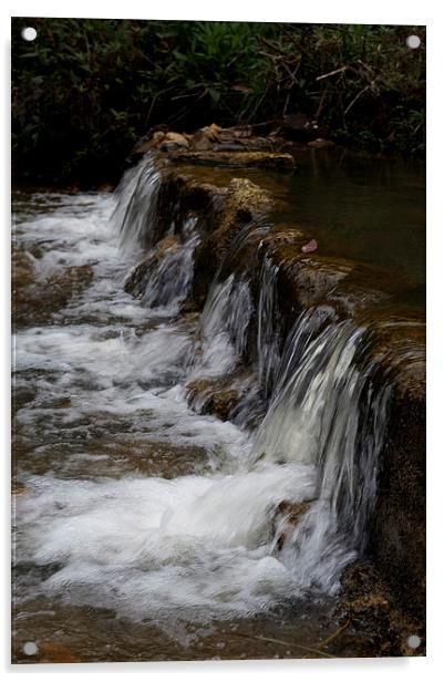 Falls On Masons Creek Acrylic by Graham Palmer