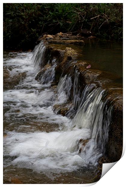 Falls On Masons Creek Print by Graham Palmer