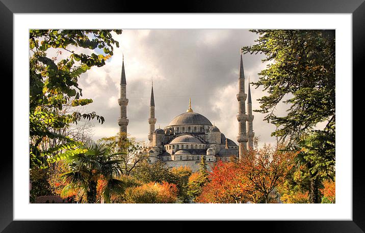 The Blue Mosque in Istanbul Framed Mounted Print by Andy Armitage