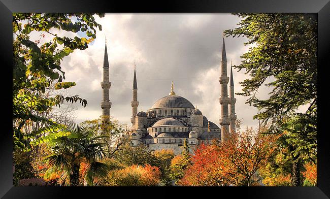 The Blue Mosque in Istanbul Framed Print by Andy Armitage