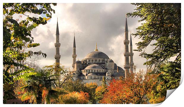 The Blue Mosque in Istanbul Print by Andy Armitage