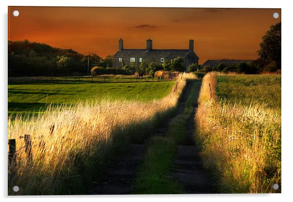 A Lancashire farmhouse Acrylic by Robert Fielding