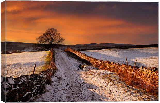 A dales way Canvas Print by Robert Fielding