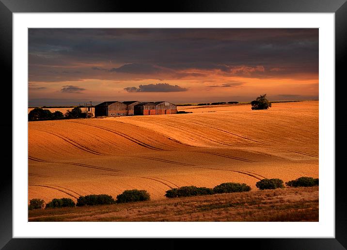 last light over the wheat fields Framed Mounted Print by Robert Fielding