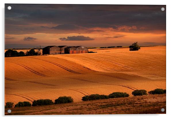 last light over the wheat fields Acrylic by Robert Fielding