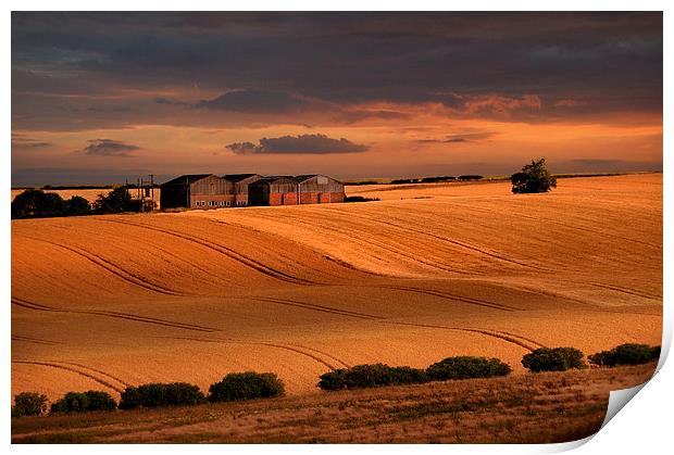 last light over the wheat fields Print by Robert Fielding