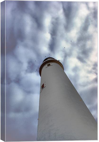 St Marys Lighthouse Canvas Print by George Young