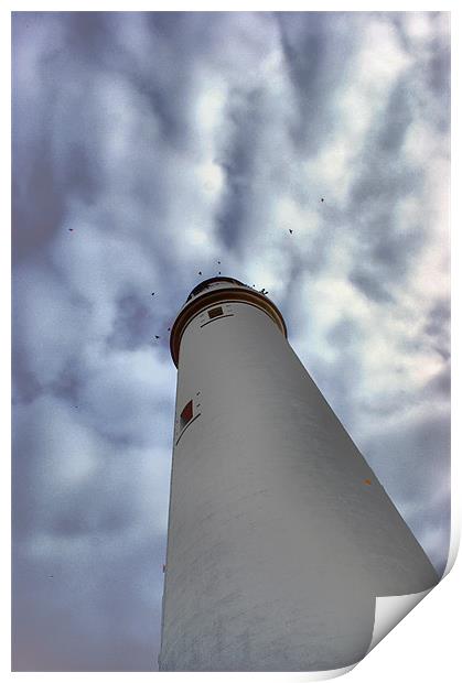 St Marys Lighthouse Print by George Young