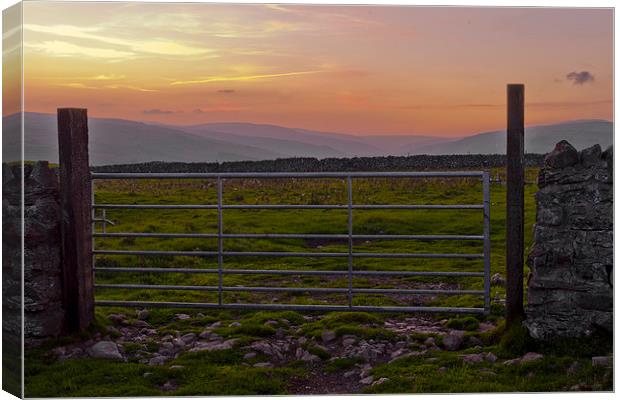 Farm gate at sunset Canvas Print by Chris Walker