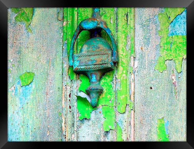 Behind the Green Door Framed Print by Laura McGlinn Photog