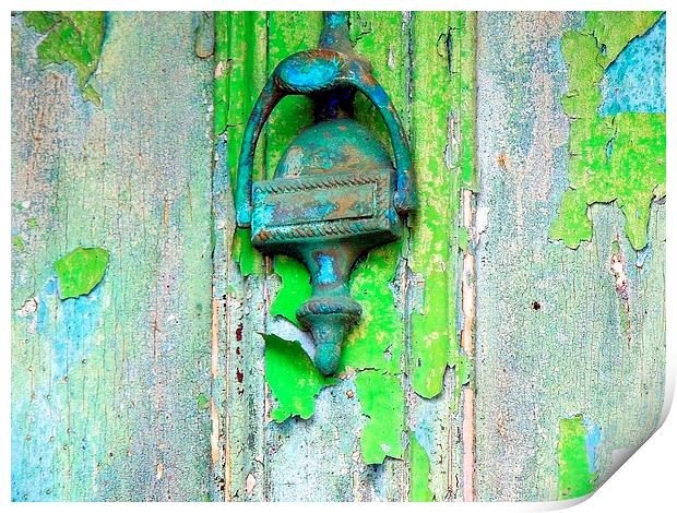 Behind the Green Door Print by Laura McGlinn Photog
