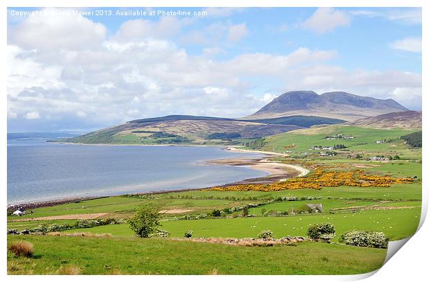 Isle of Arran Scotland Print by Diana Mower