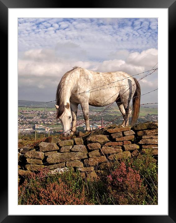 White Horse Near Darwen Tower Framed Mounted Print by Gary Kenyon