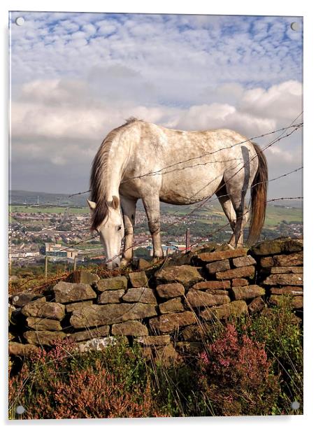 White Horse Near Darwen Tower Acrylic by Gary Kenyon