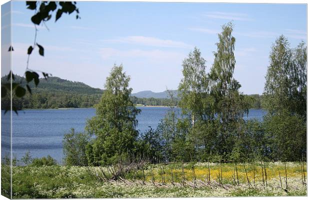 Lake and Fence Canvas Print by Hemmo Vattulainen