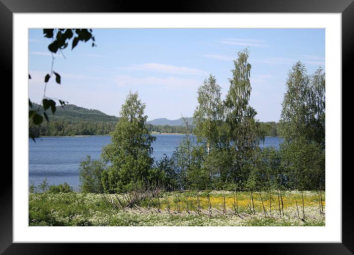 Lake and Fence Framed Mounted Print by Hemmo Vattulainen
