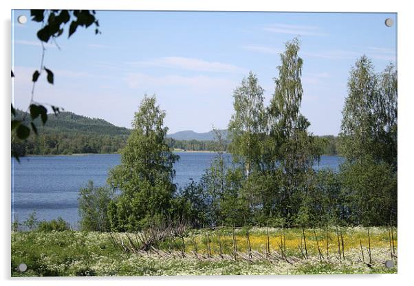 Lake and Fence Acrylic by Hemmo Vattulainen
