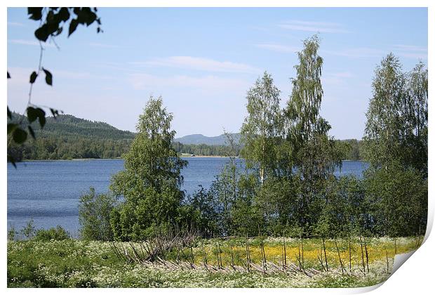 Lake and Fence Print by Hemmo Vattulainen