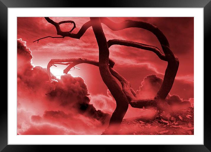 Blood Storm Framed Mounted Print by Christine Lake