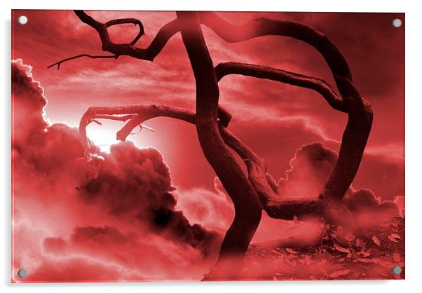 Blood Storm Acrylic by Christine Lake