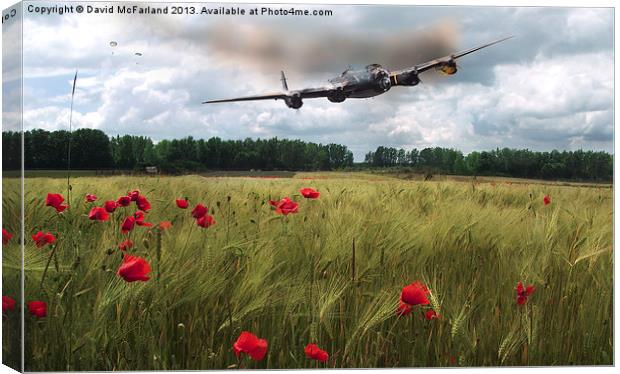 We will remember them Canvas Print by David McFarland