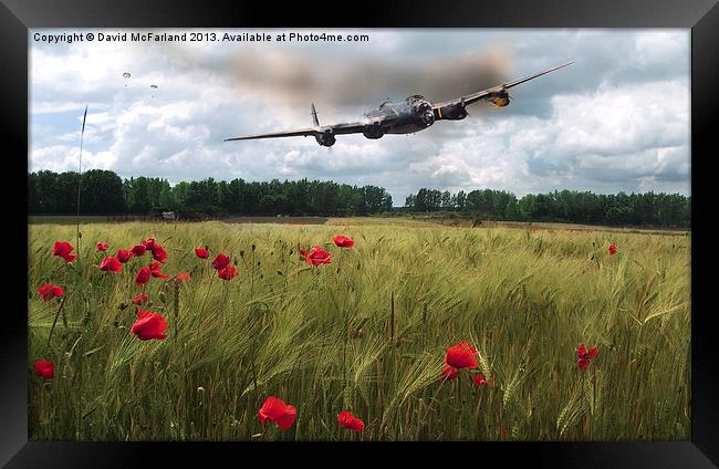 We will remember them Framed Print by David McFarland
