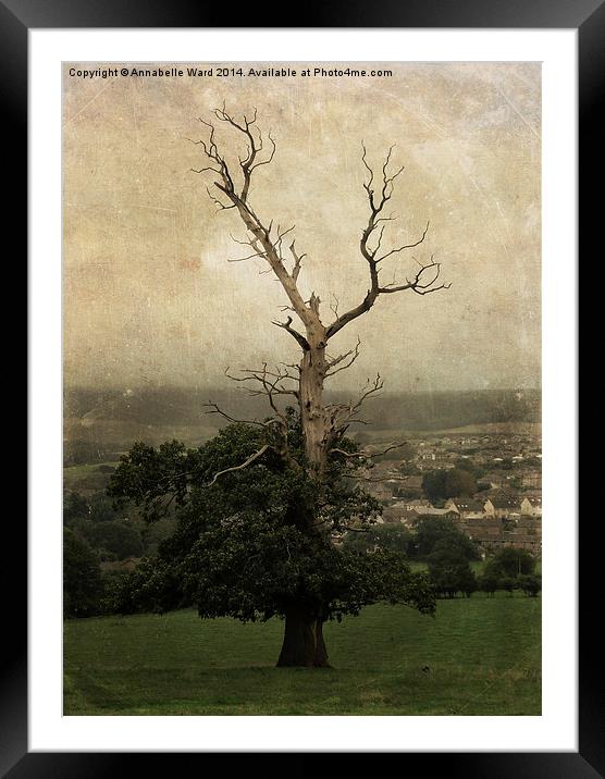 The Skeletal Tree Framed Mounted Print by Annabelle Ward