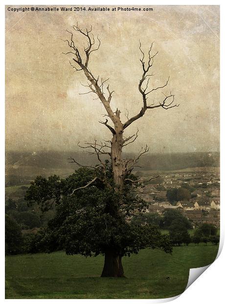 The Skeletal Tree Print by Annabelle Ward