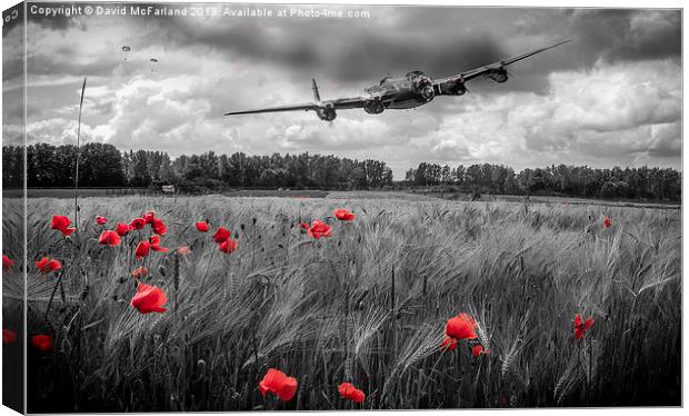 Lest we forget Canvas Print by David McFarland