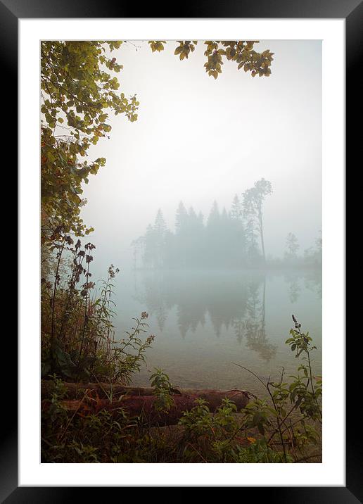 mystic island Framed Mounted Print by Silvio Schoisswohl