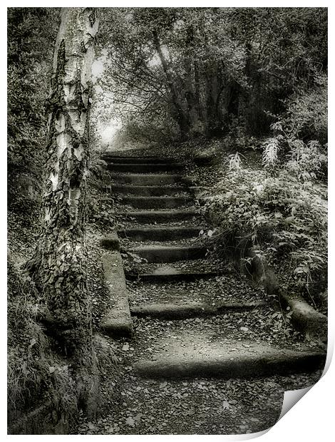 Steps Print by Ann Garrett