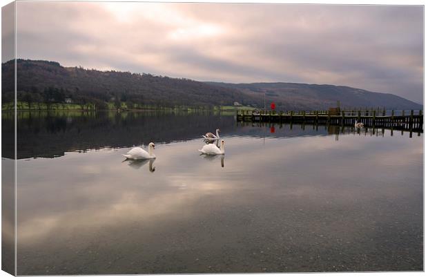 Coniston Swans Canvas Print by John Hare