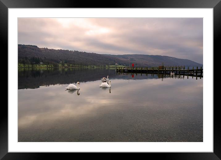 Coniston Swans Framed Mounted Print by John Hare
