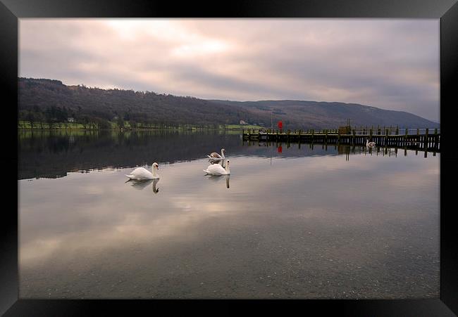 Coniston Swans Framed Print by John Hare