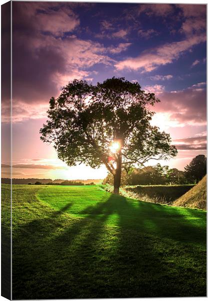 lucidimages-old-sarum-sunset-tree Canvas Print by Raymond  Morrison