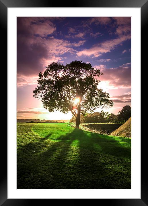lucidimages-old-sarum-sunset-tree Framed Mounted Print by Raymond  Morrison