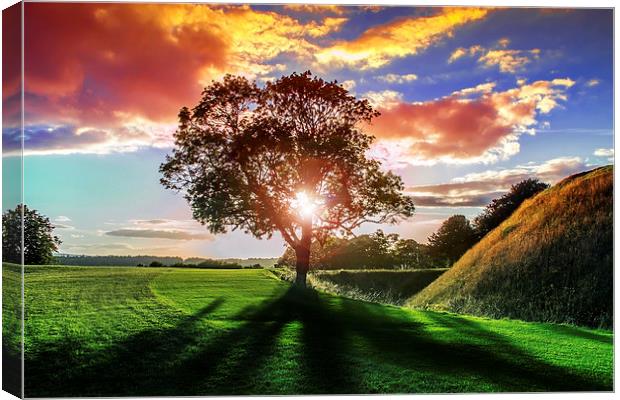 lucidimages-old-sarum-sunset-tree-2 Canvas Print by Raymond  Morrison