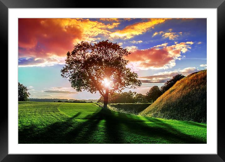 lucidimages-old-sarum-sunset-tree-2 Framed Mounted Print by Raymond  Morrison