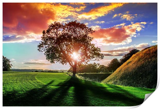 lucidimages-old-sarum-sunset-tree-2 Print by Raymond  Morrison