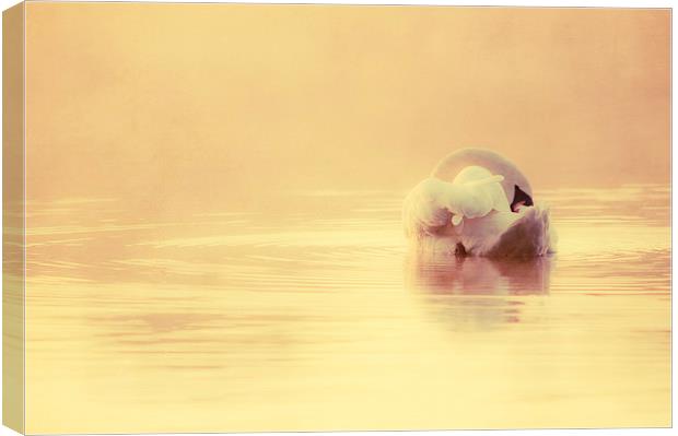 Tranquil water Canvas Print by Dawn Cox