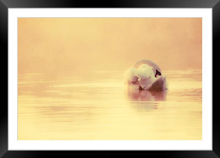 Tranquil water Framed Mounted Print by Dawn Cox