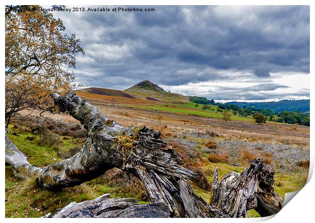 Autumn Colours Print by Trevor Kersley RIP